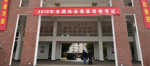 2019年全国执业兽医资格考试在我院顺利举行